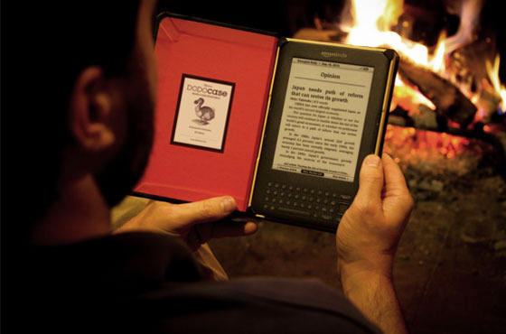 DODOcase for Kindle by fireplace