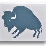 Buffalo Note Card by Banquet