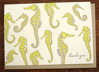 Seahorses by Hello! Lucky