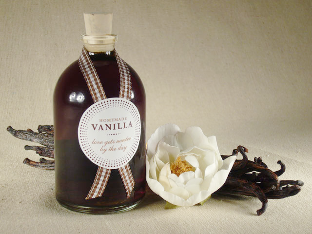 Homemade Vanilla Extract / Image credit: Kathleen Ullman
