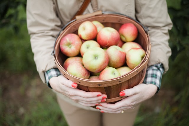 Going to the Apple Orchard, photo by John Allen