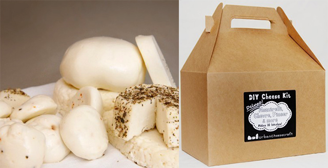 DIY Cheese Kit by Urban Cheesecraft