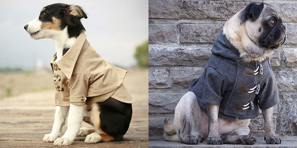 Rover Dog Coats
