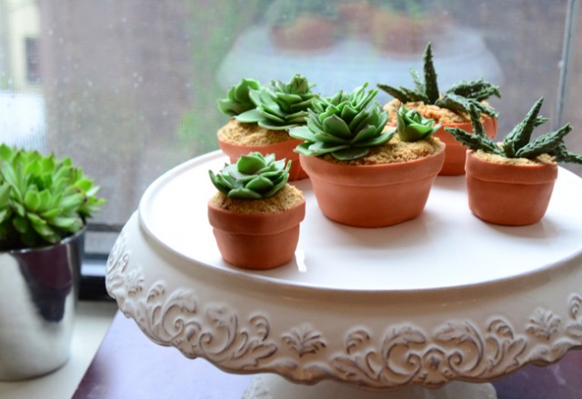 Succulent Cupcakes by Pixel Whisk