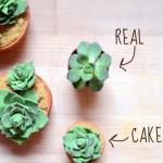 DIY Succulent Cupcakes by Pixel Whisk