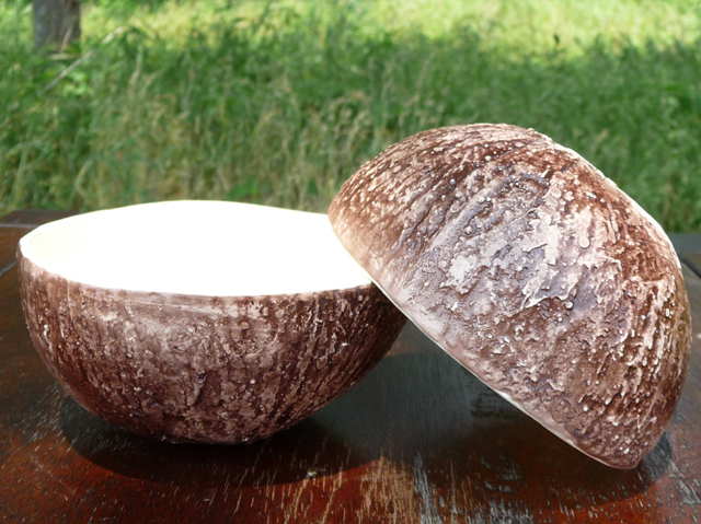 Coconut Bowl by Vegetabowls